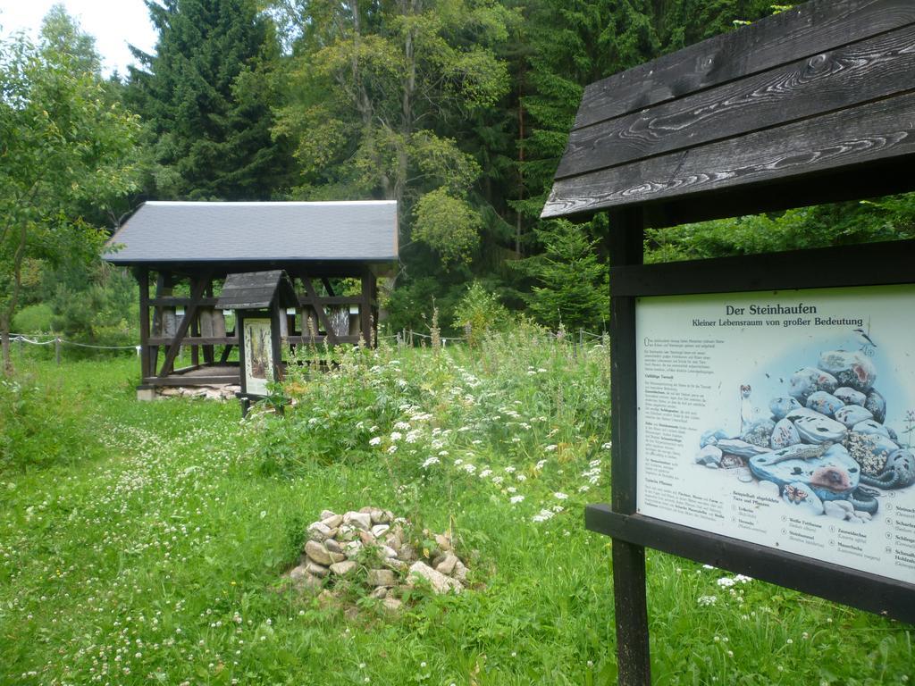 Pension & Fewo'S Talblick Weitersglashutte Bagian luar foto